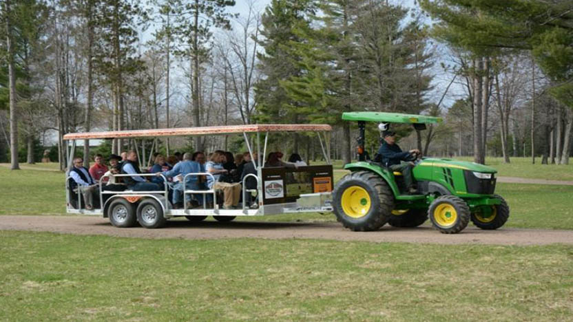 safari with tram ride