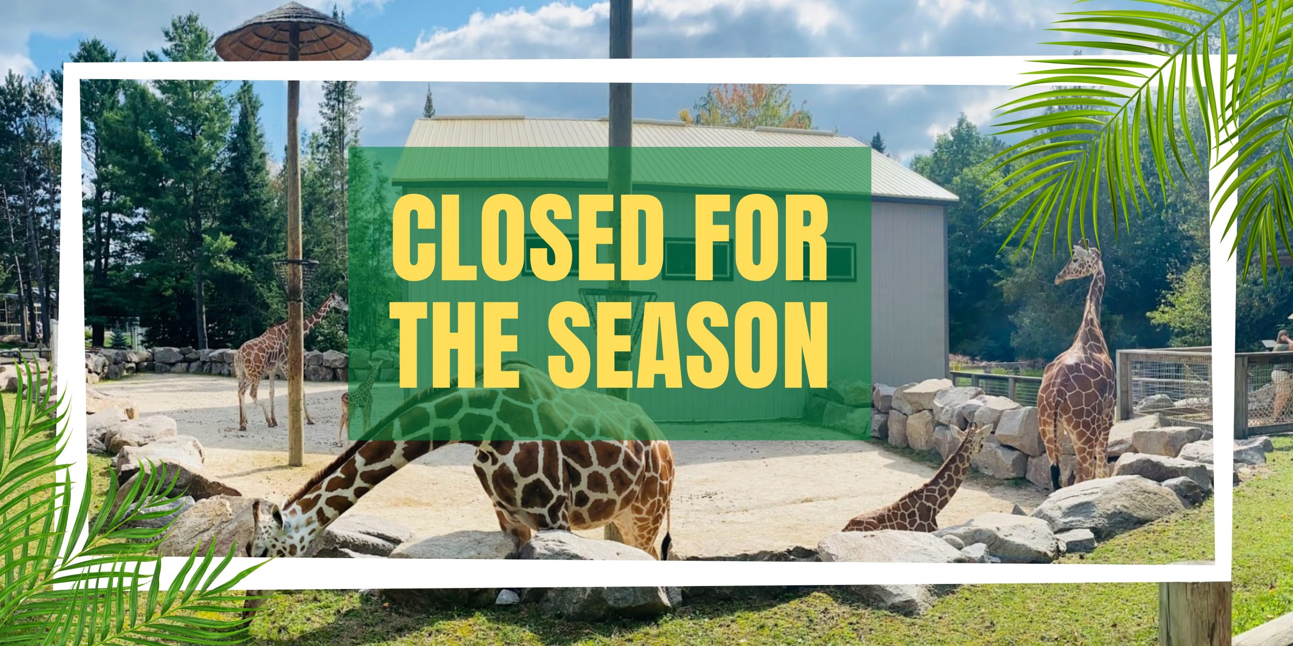 wildwood wildlife park zoo & safari updates